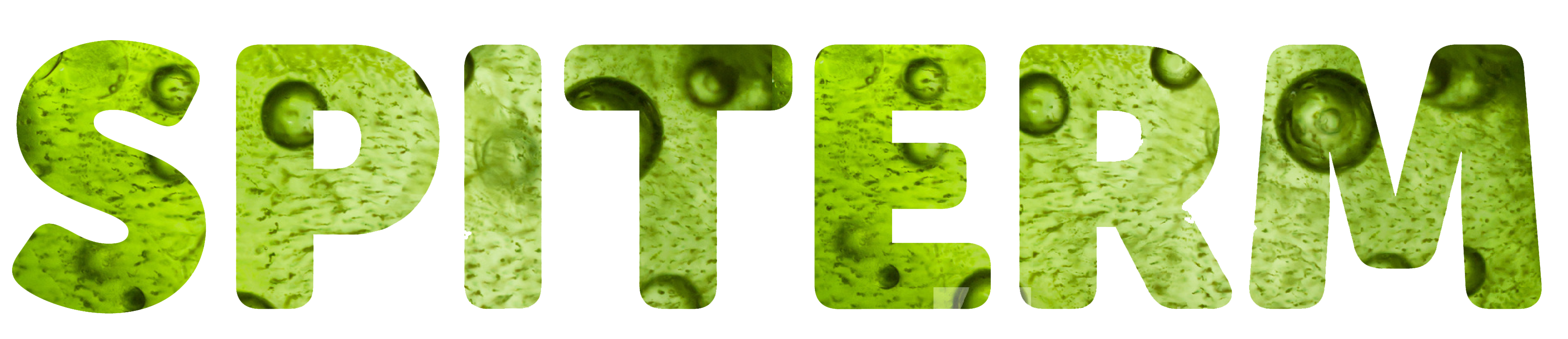 logo-SPITERM